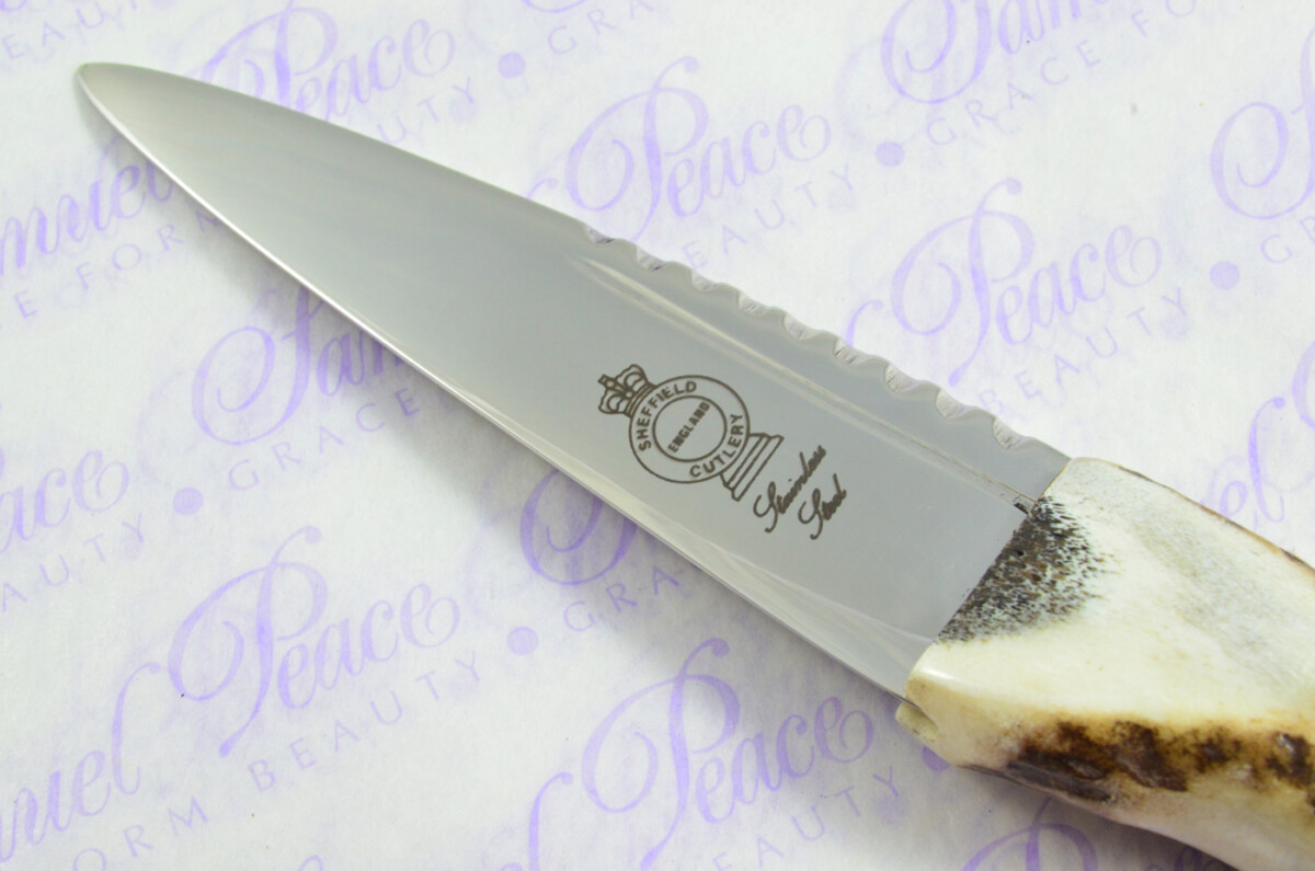 A Genuine Tyne Point Stainless Steel Stag Horn Antler Handle Sgian Dubh Sheffield England - Image 4