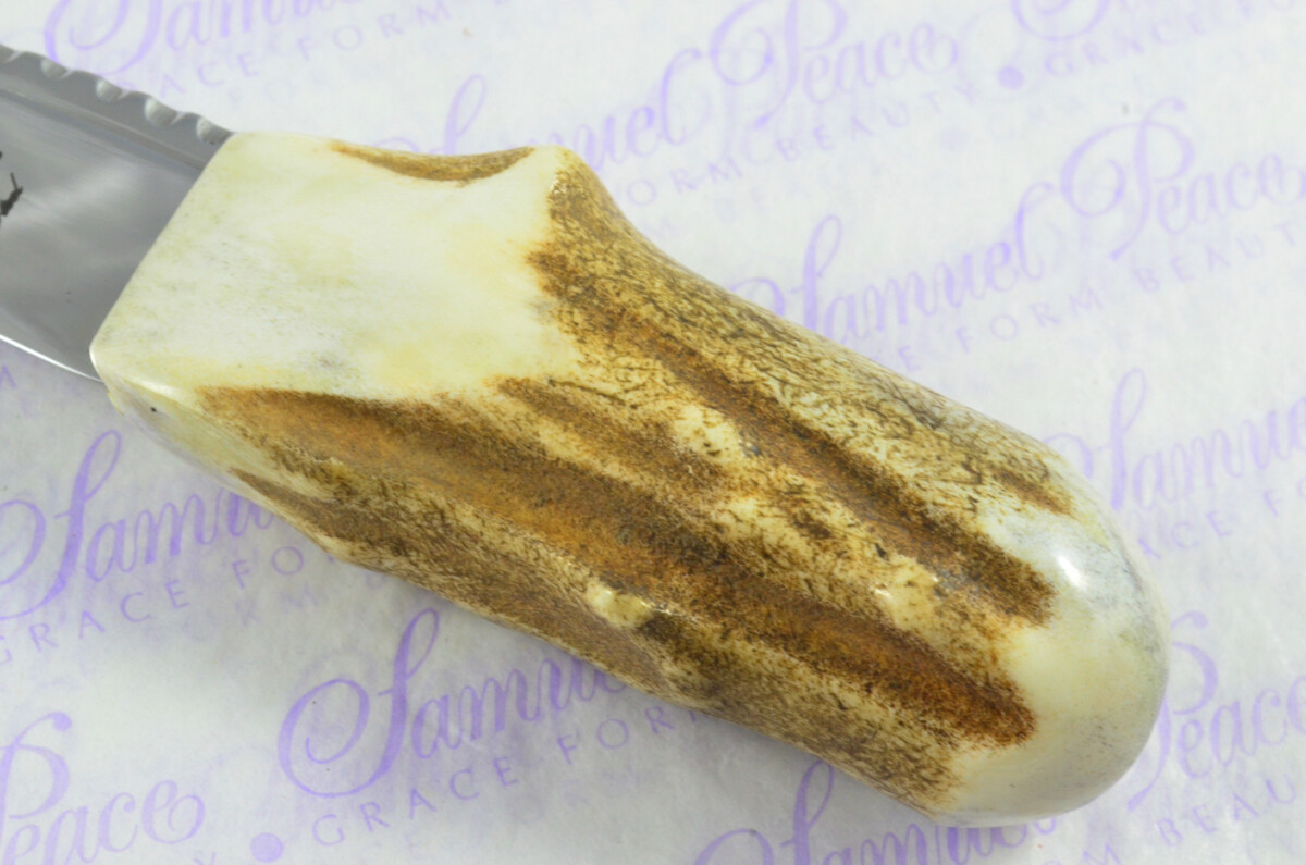 A Natural Genuine Stainless Steel Stag Horn Antler Handle Sgian Dubh Sheffield England - Image 5