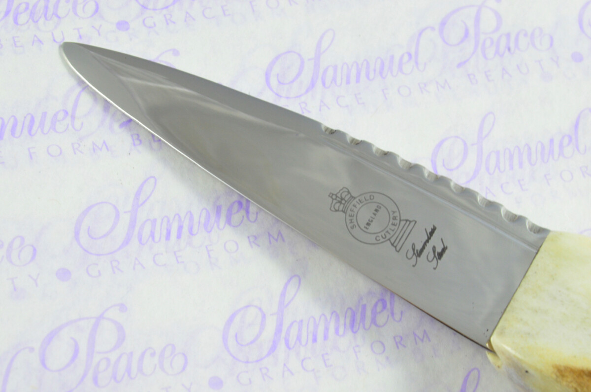A Natural Genuine Stainless Steel Stag Horn Antler Handle Sgian Dubh Sheffield England - Image 6