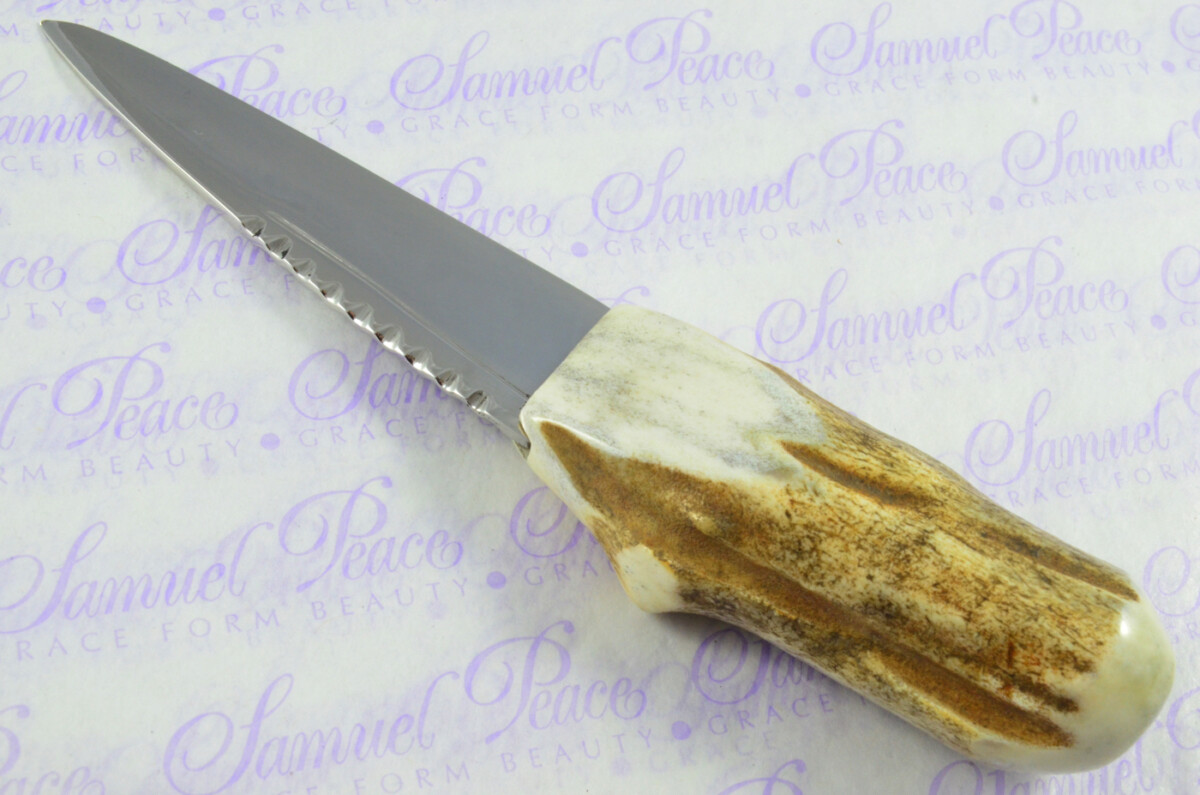 A Natural Genuine Stainless Steel Stag Horn Antler Handle Sgian Dubh Sheffield England - Image 8