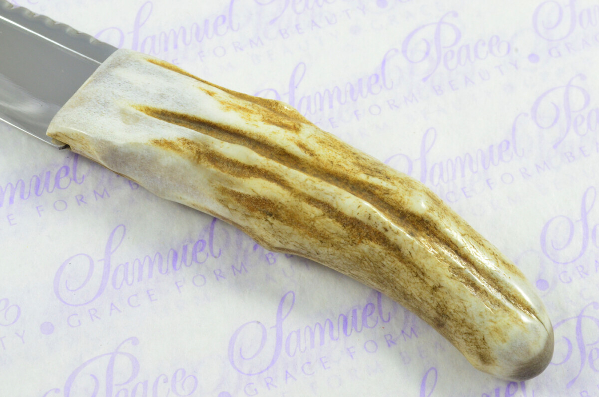 A Natural Genuine Carbon Steel Stag Horn Antler Handle Sgian Dubh Sheffield England - Image 5