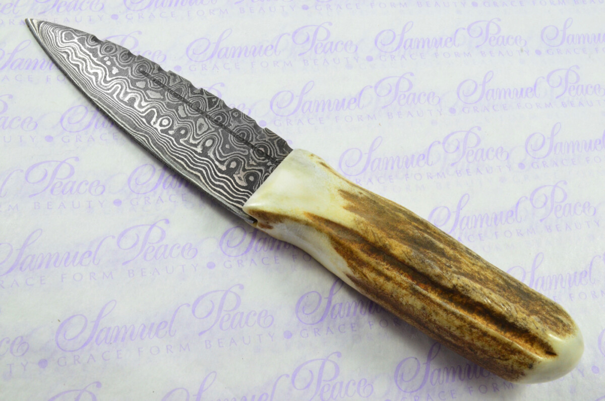 A Natural Genuine Damascus Steel Stag Horn Antler Handle Sgian Dubh Sheffield England - Image 4