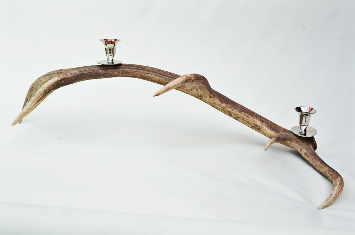 Staggering Natural Stag Horn Antler & Chrome Plated Candelabra 2 Candle Holder Centrepiece
