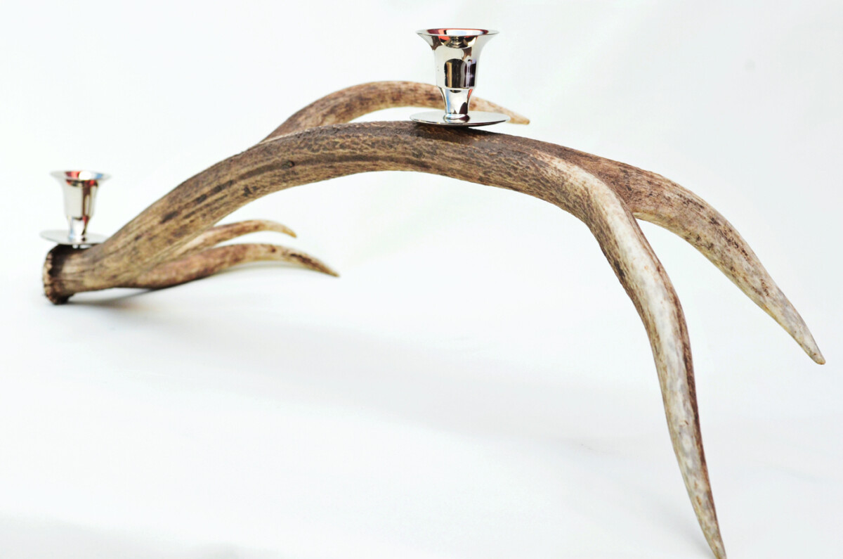 Staggering Natural Stag Horn Antler & Chrome Plated Candelabra 2 Candle Holder Centrepiece - Image 3