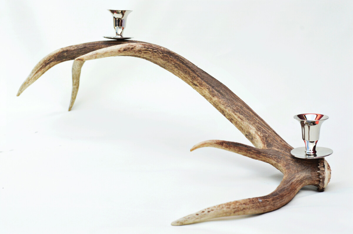 Staggering Natural Stag Horn Antler & Chrome Plated Candelabra 2 Candle Holder Centrepiece - Image 4