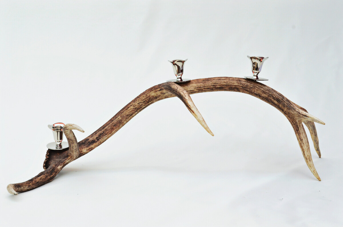 Breathtaking Natural Stag Horn Antler & Chrome Plated Candelabra 3 Candle Holder Centrepiece - Image 2
