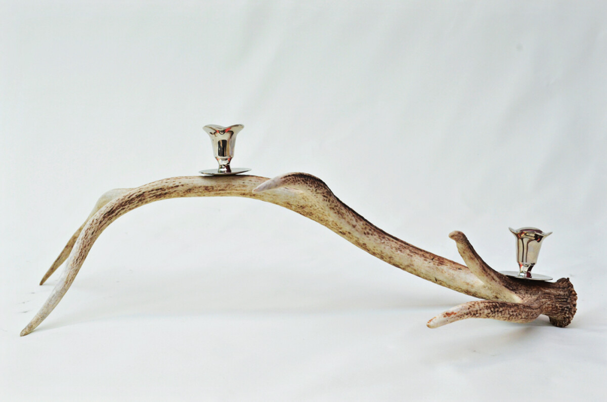 Remarkable Natural Stag Horn Antler & Chrome Plated Candelabra 2 Candle Holder Centrepiece - Image 2