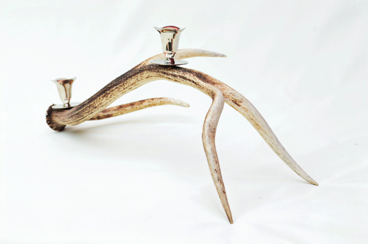 Remarkable Natural Stag Horn Antler & Chrome Plated Candelabra 2 Candle Holder Centrepiece - Image 3