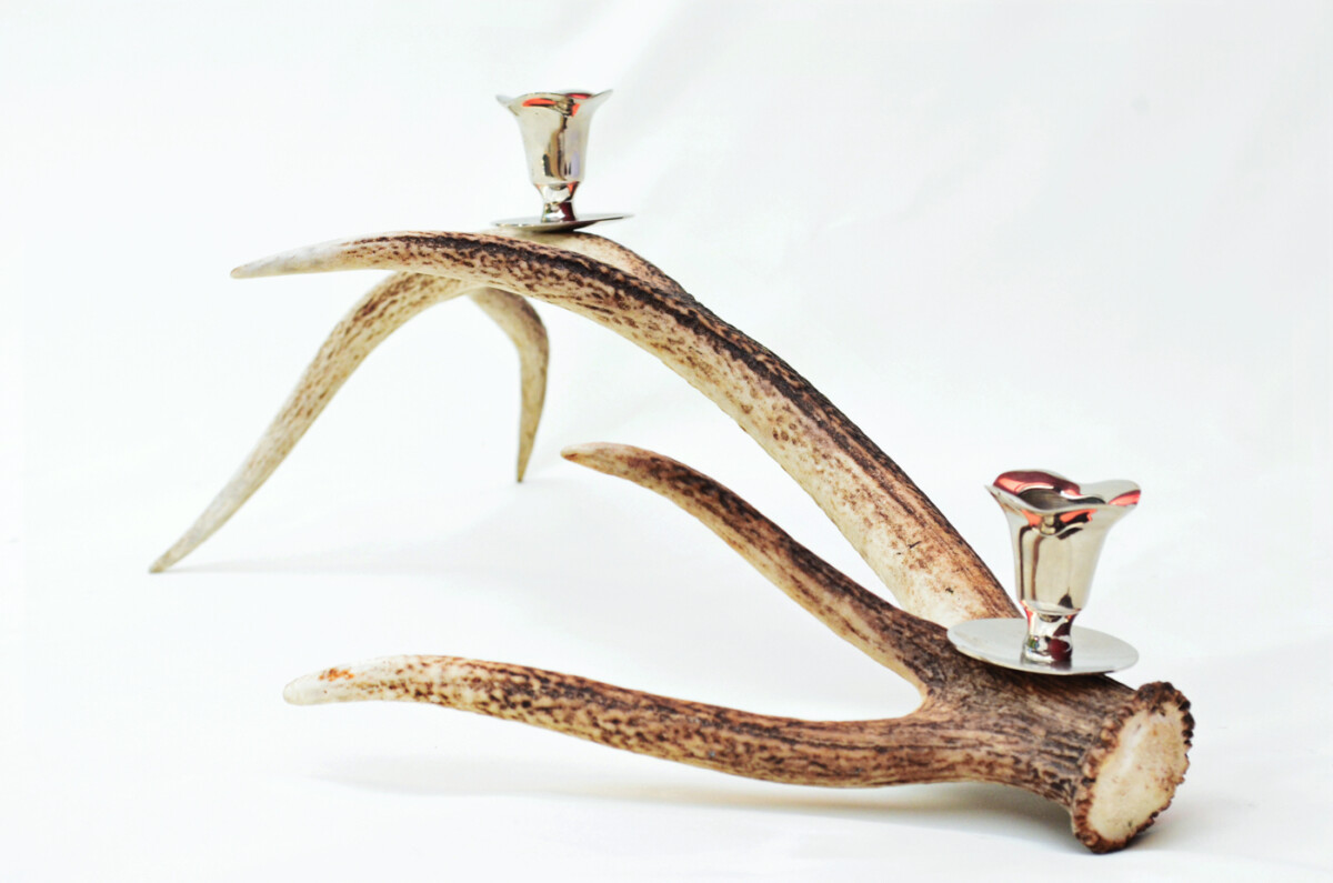 Remarkable Natural Stag Horn Antler & Chrome Plated Candelabra 2 Candle Holder Centrepiece - Image 4
