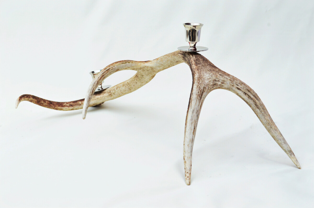 Phenomenal Natural Stag Horn Antler & Chrome Plated Candelabra 2 Candle Holder Centrepiece - Image 2