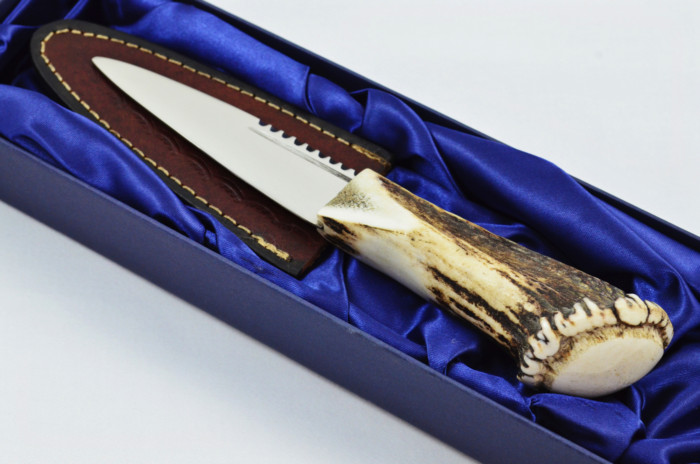 A Fantastic Genuine Stainless Steel Stag Horn Full Crown Antler Handle Sgian Dubh Sheffield England **Free Engraving** - Image 2
