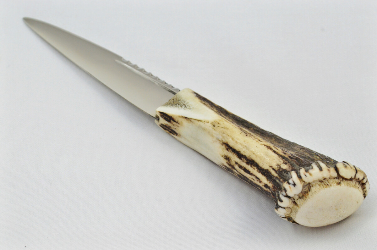 A Fantastic Genuine Stainless Steel Stag Horn Full Crown Antler Handle Sgian Dubh Sheffield England **Free Engraving** - Image 3