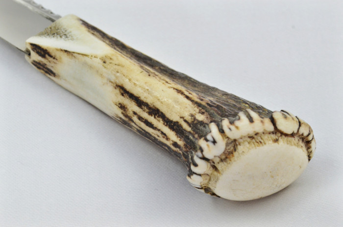 A Fantastic Genuine Stainless Steel Stag Horn Full Crown Antler Handle Sgian Dubh Sheffield England **Free Engraving** - Image 4