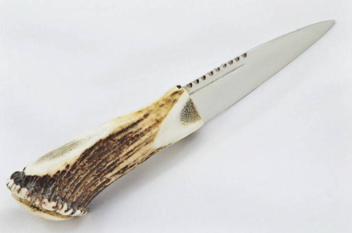 A Fantastic Genuine Stainless Steel Stag Horn Full Crown Antler Handle Sgian Dubh Sheffield England **Free Engraving** - Image 6