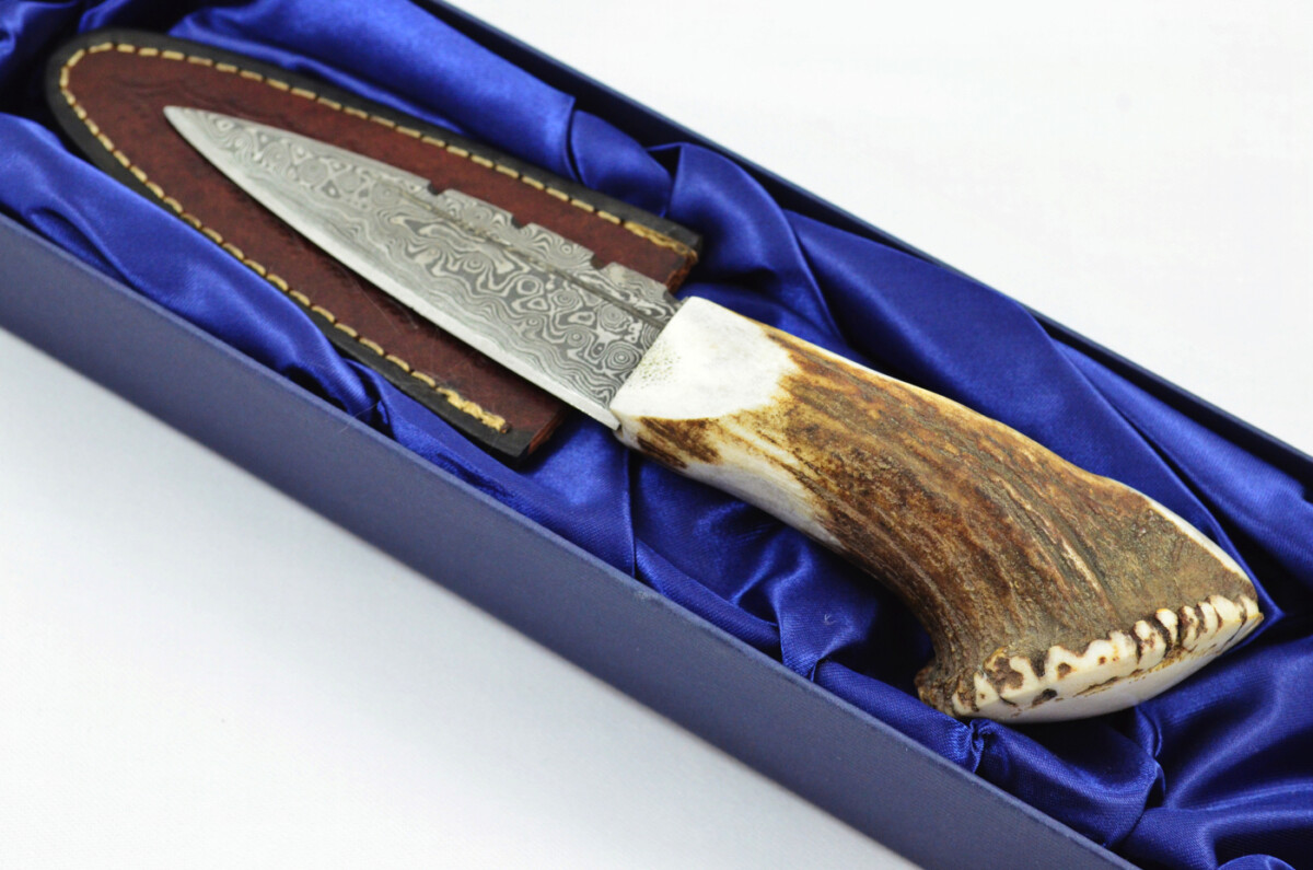 A Genuine Full Crown Damascus Steel Stag Horn Antler Handle Sgian Dubh Sheffield England - Image 2