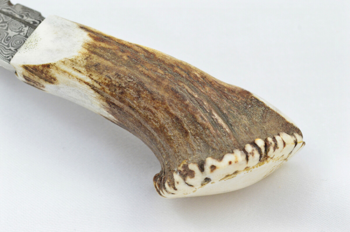 A Genuine Full Crown Damascus Steel Stag Horn Antler Handle Sgian Dubh Sheffield England - Image 5