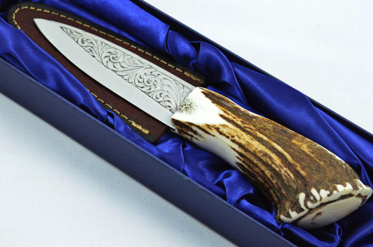 A Fantastic Genuine Hand Engraved Carbon Steel Stag Horn Full Crown Antler Handle Sgian Dubh Sheffield England - Image 2