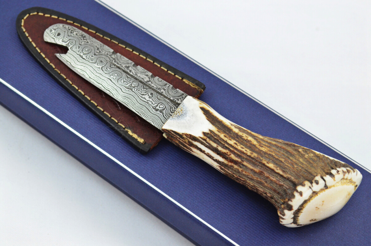 A Fantastic Handmade Genuine Stag Horn Full Crown Handle Damascus Steel Sgian Dubh Sgian Bru Made in Sheffield England