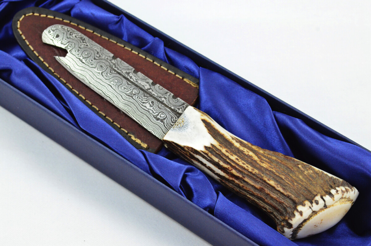 A Fantastic Handmade Genuine Stag Horn Full Crown Handle Damascus Steel Sgian Dubh Sgian Bru Made in Sheffield England - Image 2