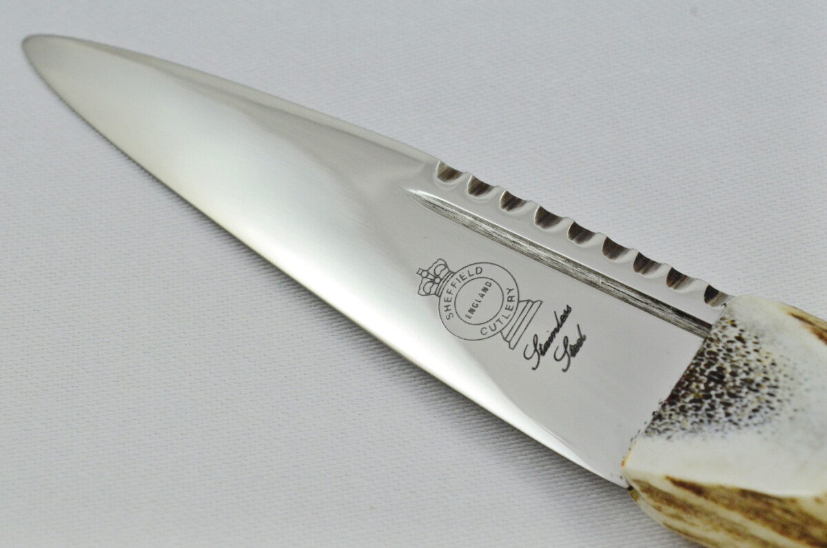 New Fantastic Genuine Stag Horn Full Crown Handle Sgian Dubh Made in Sheffield England - Image 7