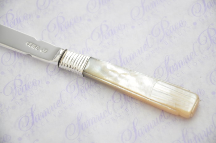Pristine Mother of Pearl Sterling Silver Bladed Letter Opener London 1828 Cased - Image 2