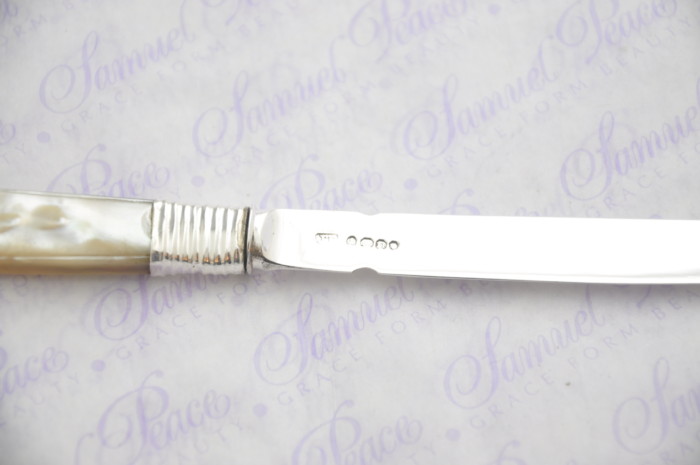 Pristine Mother of Pearl Sterling Silver Bladed Letter Opener London 1828 Cased - Image 5