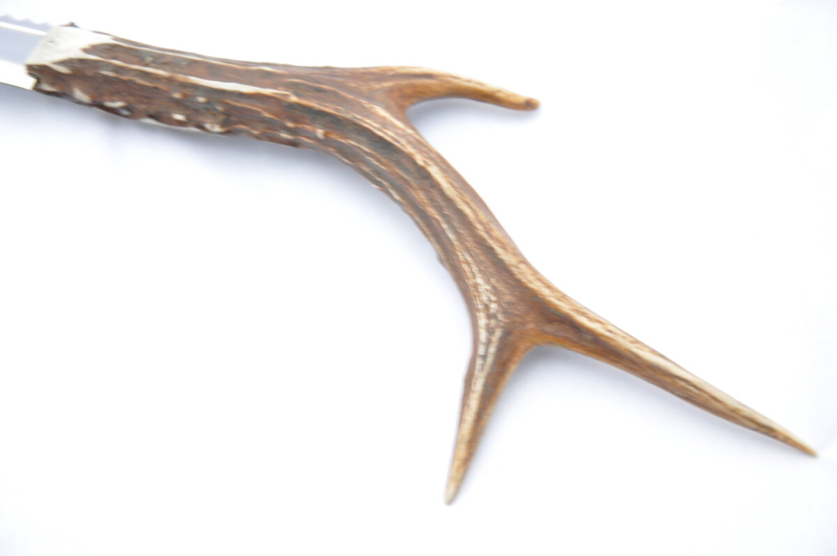 Genuine Full Roe Deer Stag Handle Sgian Dubh - Image 2