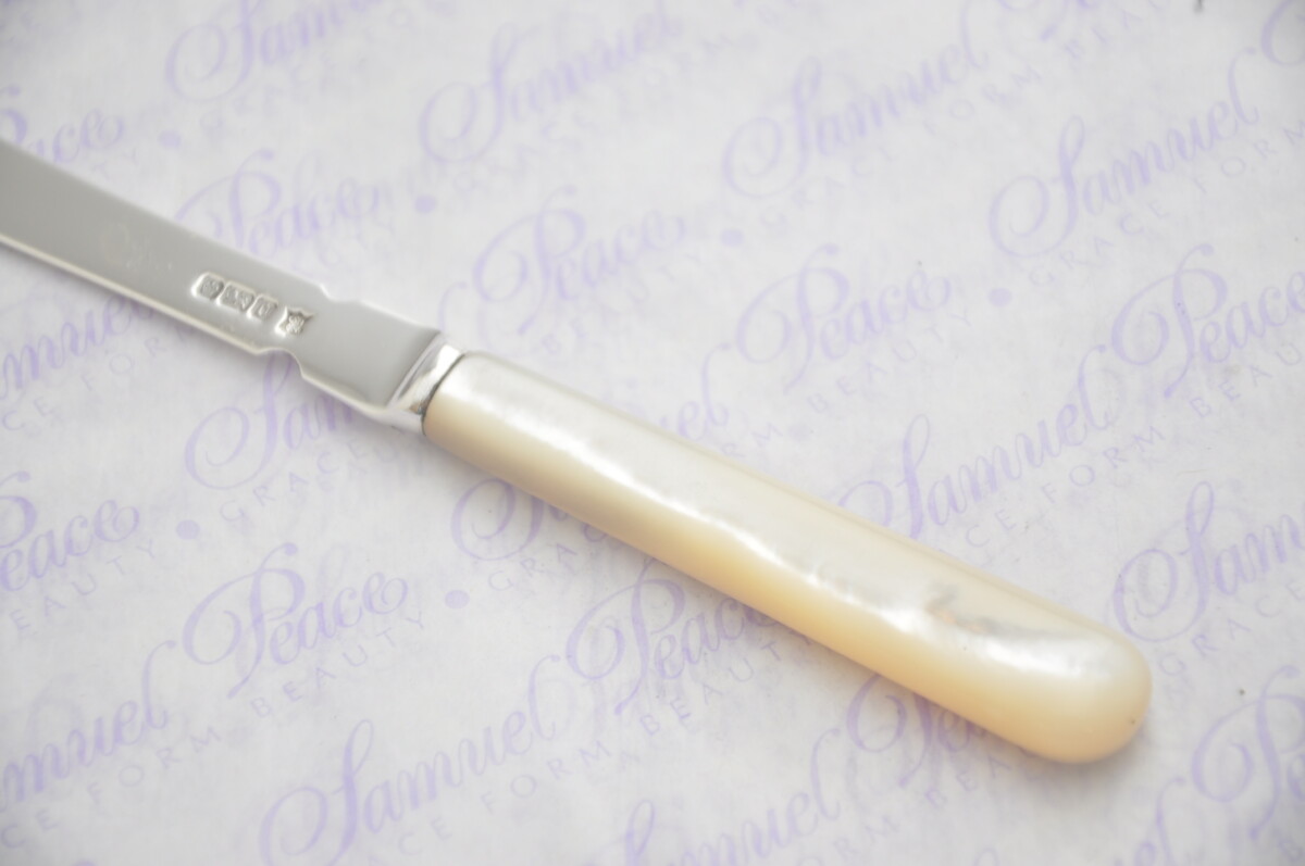 Pristine Mother of Pearl Sterling Silver Bladed Letter Opener Sheffield 1906 Cased - Image 3