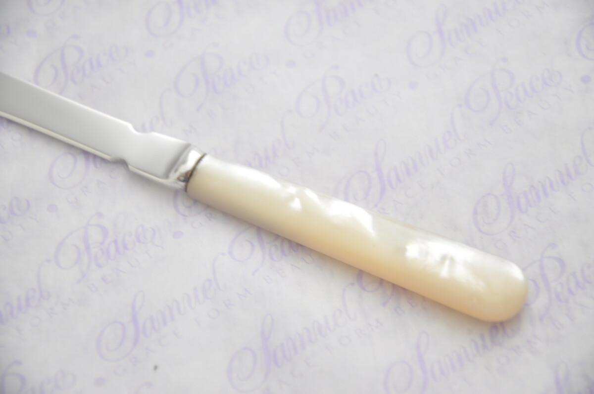 Pristine Mother of Pearl Sterling Silver Bladed Letter Opener Sheffield 1906 Cased - Image 7