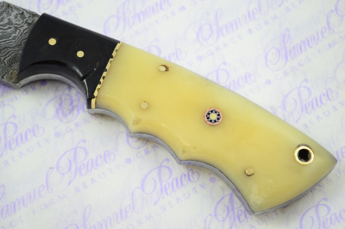 Full Scale Tang Damascus Steel Bowie Camelbone Scales 5" Blade - Image 2