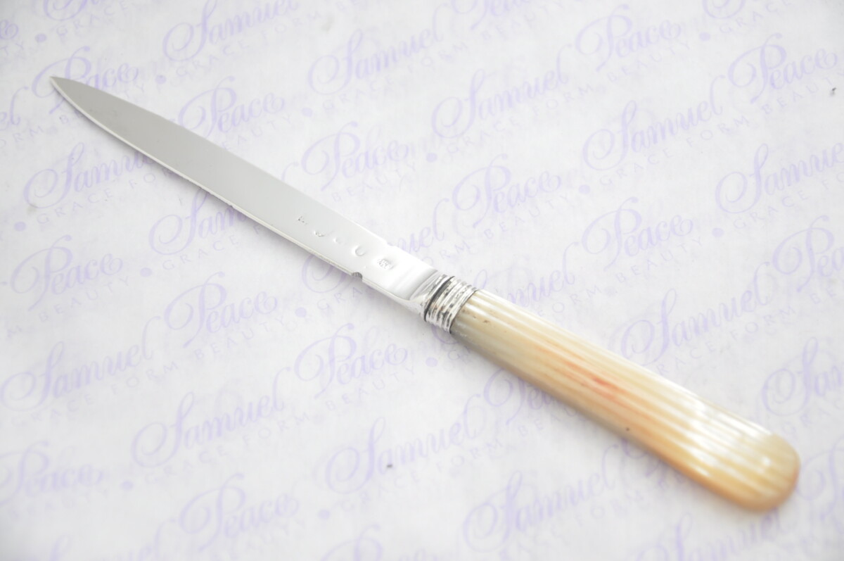 Pristine Mother of Pearl Sterling Silver Bladed Letter Opener Sheffield C1825 Cased