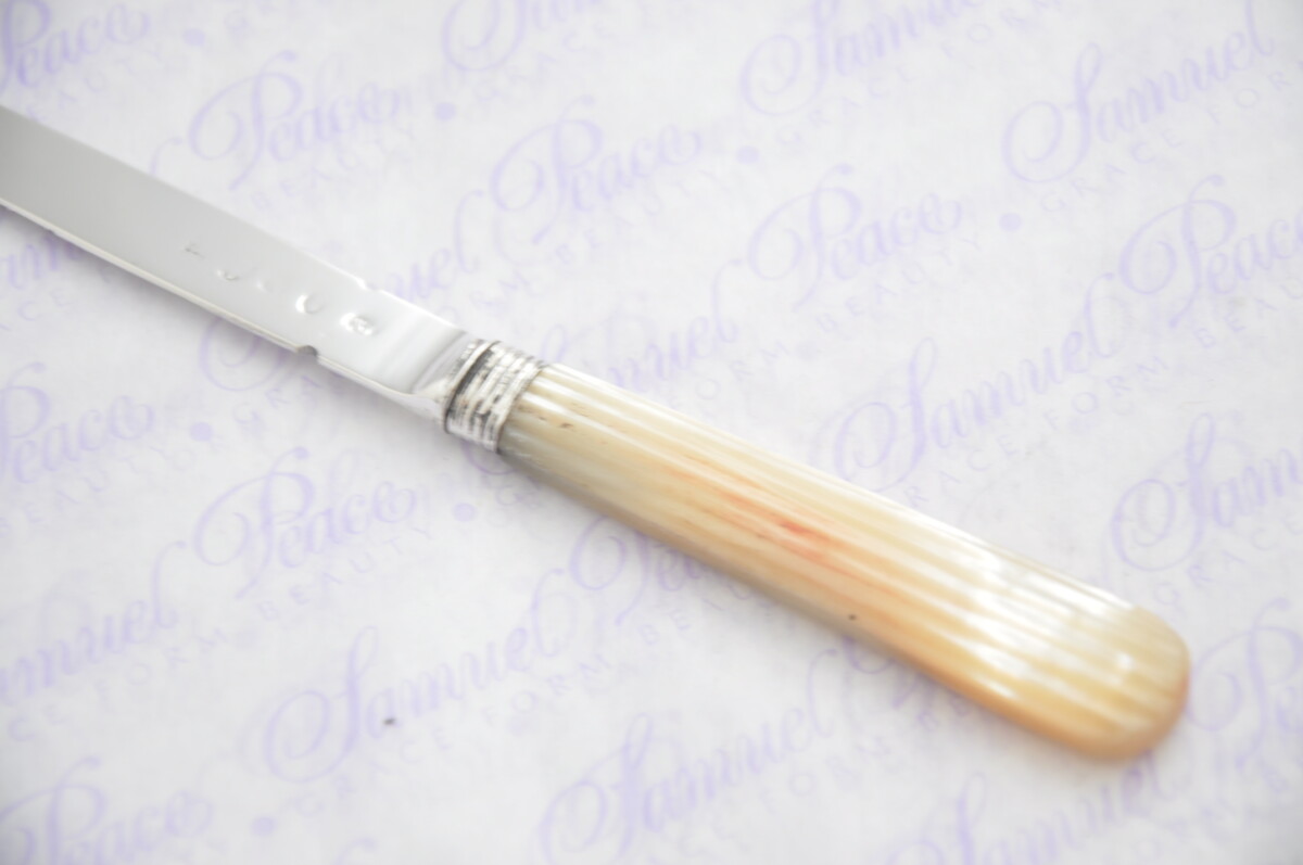 Pristine Mother of Pearl Sterling Silver Bladed Letter Opener Sheffield C1825 Cased - Image 2