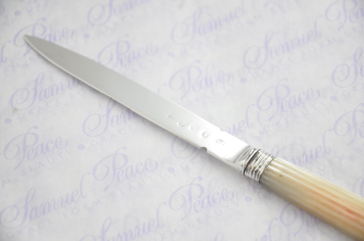 Pristine Mother of Pearl Sterling Silver Bladed Letter Opener Sheffield C1825 Cased - Image 3