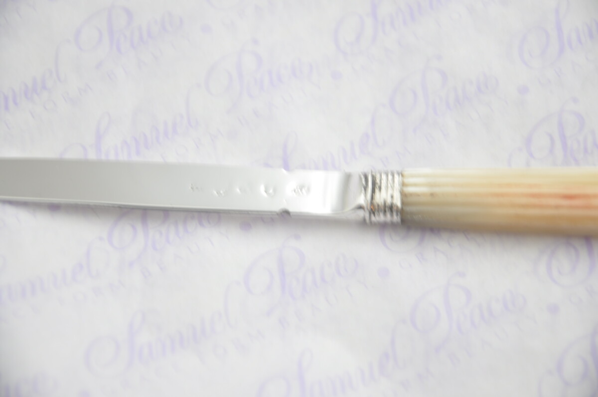 Pristine Mother of Pearl Sterling Silver Bladed Letter Opener Sheffield C1825 Cased - Image 5