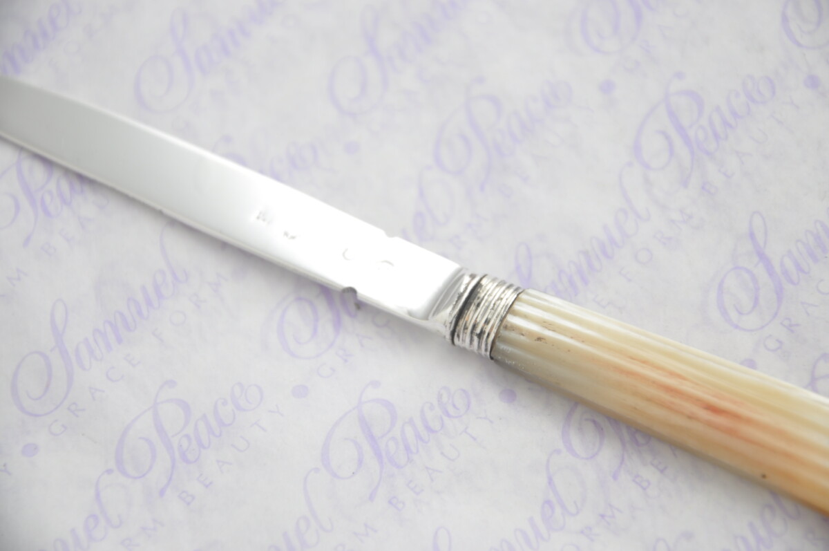 Pristine Mother of Pearl Sterling Silver Bladed Letter Opener Sheffield C1825 Cased - Image 6
