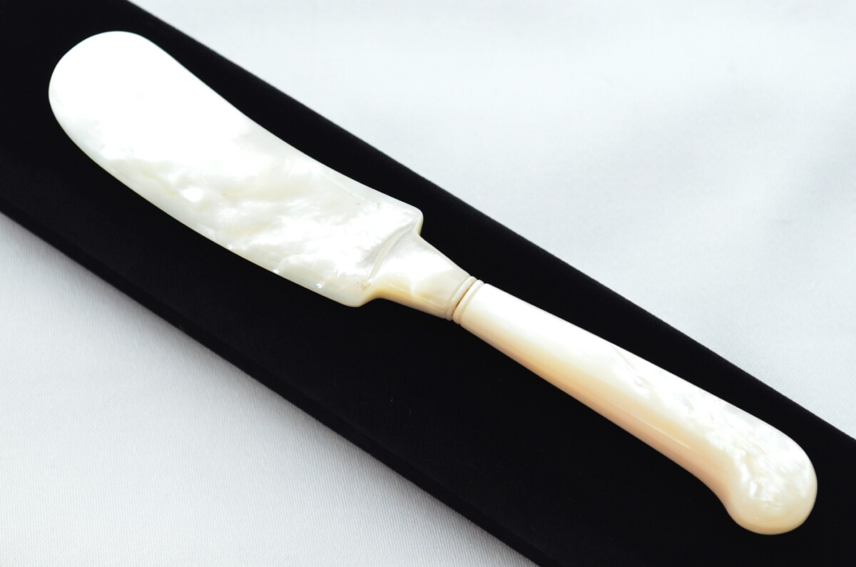 Beautiful Mother of Pearl Butter Knife Cased