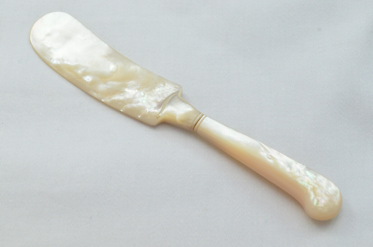 Beautiful Mother of Pearl Butter Knife Cased - Image 2