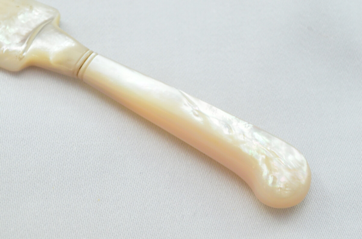 Beautiful Mother of Pearl Butter Knife Cased - Image 3
