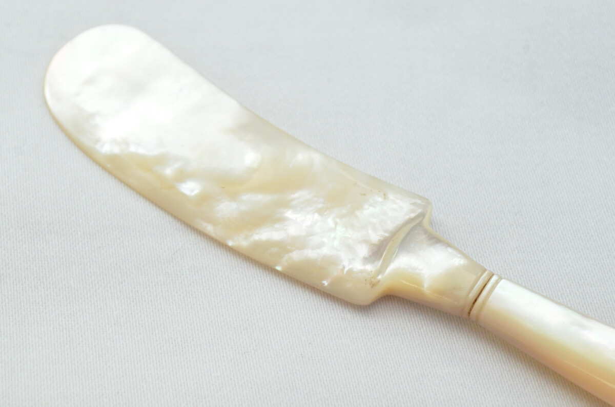 Beautiful Mother of Pearl Butter Knife Cased - Image 4