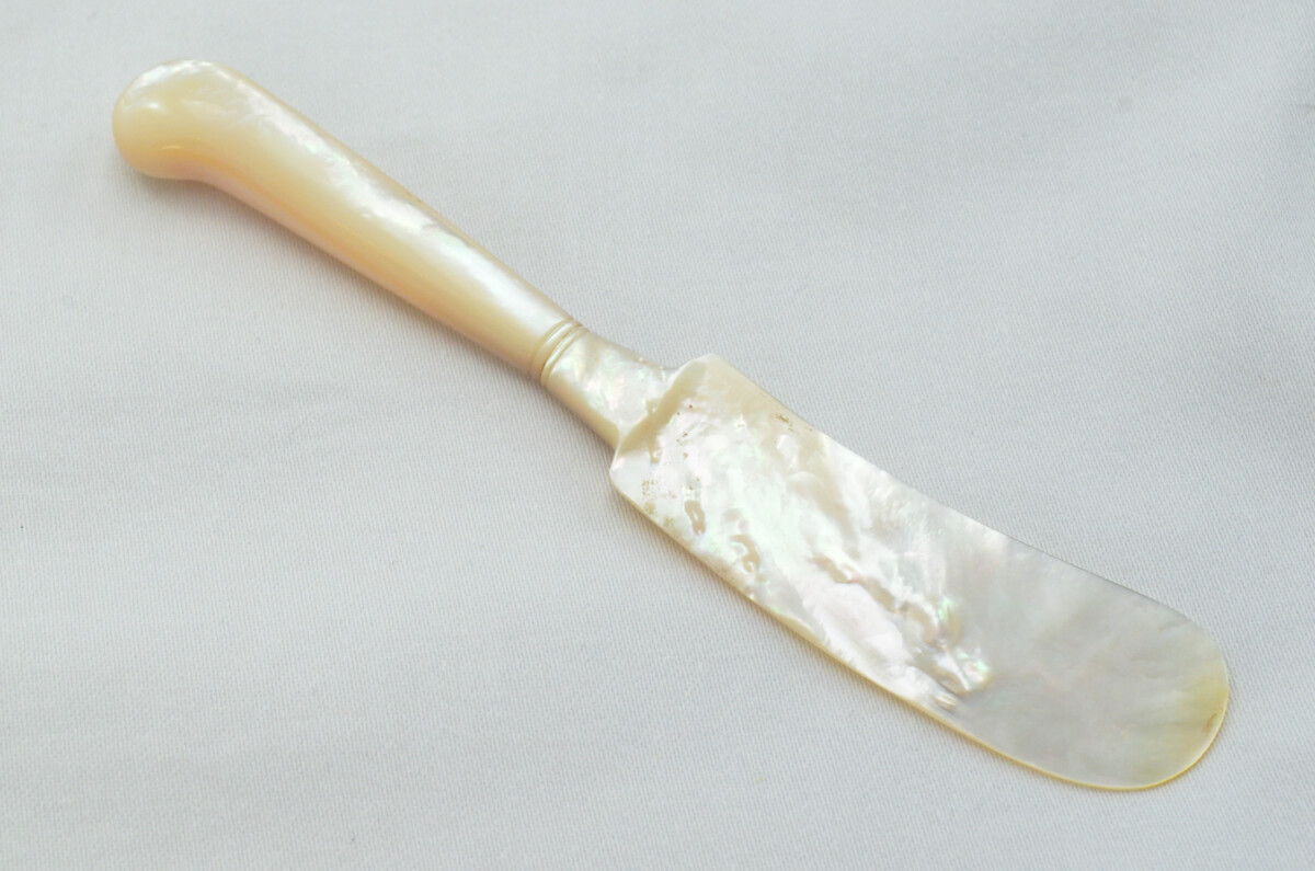 Beautiful Mother of Pearl Butter Knife Cased - Image 5