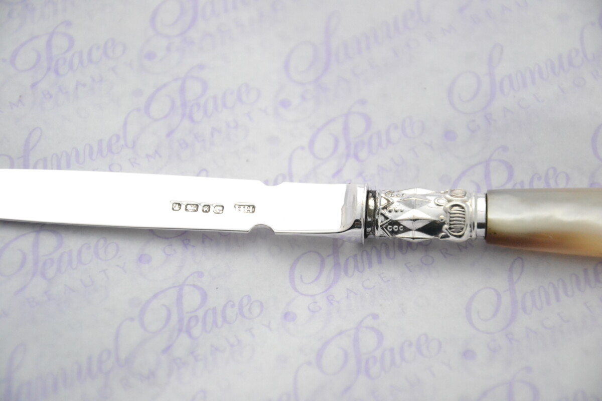 Harrison Bros & Howson Pristine Mother of Pearl Sterling Silver Bladed Letter Opener Sheffield 1877 Cased - Image 3