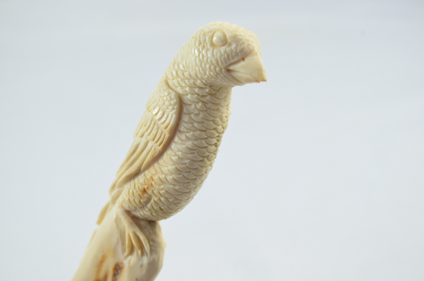 Parrot Carved Walking Stick Cane Top Handle Stag Antler Horn Made Sheffield England