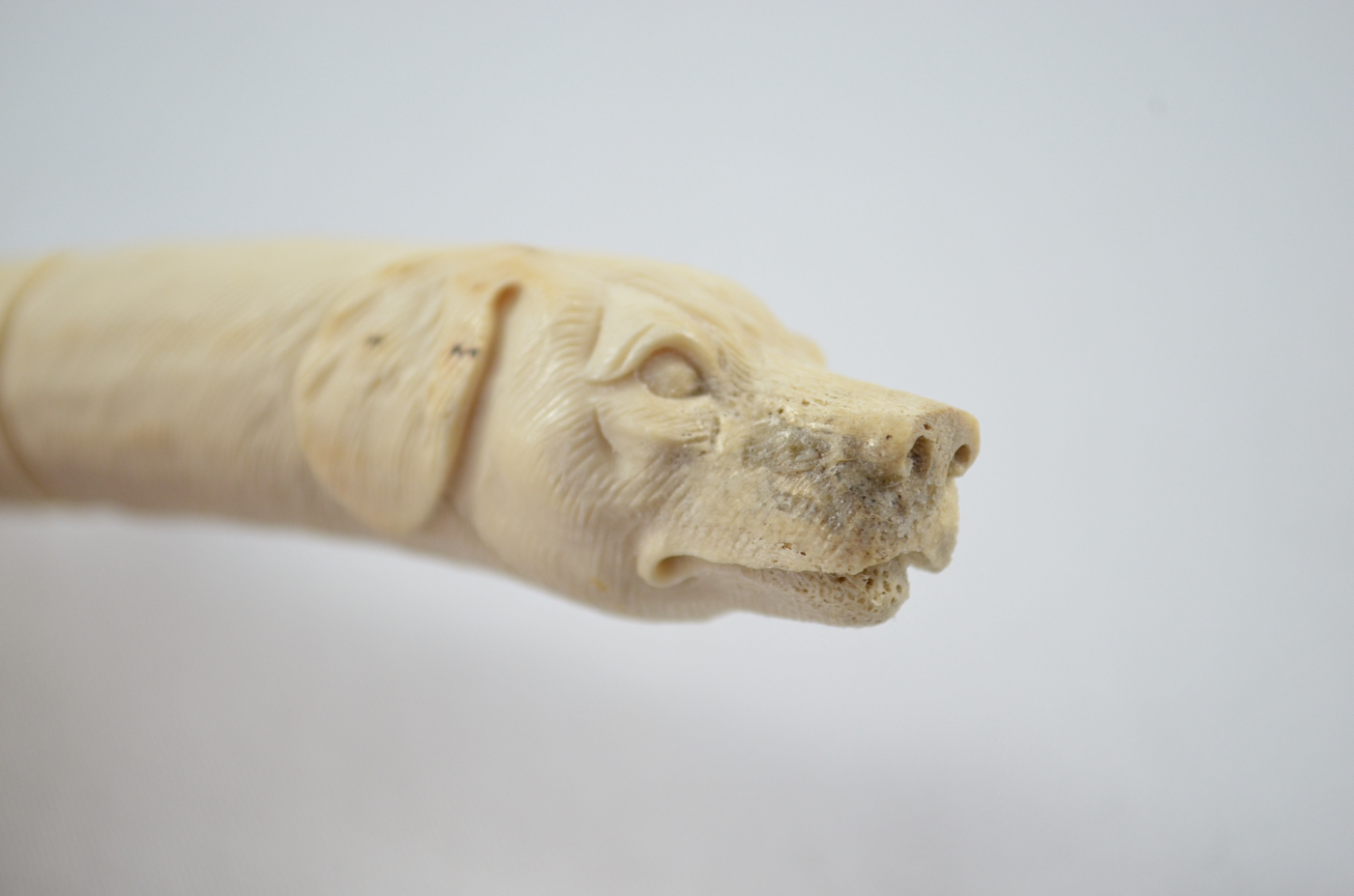 Dog Carved Walking Stick Cane Top Handle Stag Antler Horn Made Sheffield England - Image 2