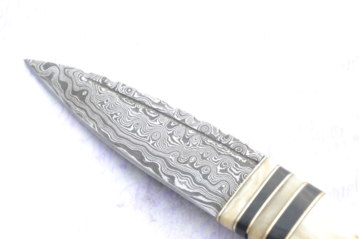 New Fantastic Genuine Camel Bone and Buffalo Handle Sgian Dubh Damascus Steel Made in Sheffield England Superior Sheath inc Presentation box - Image 4