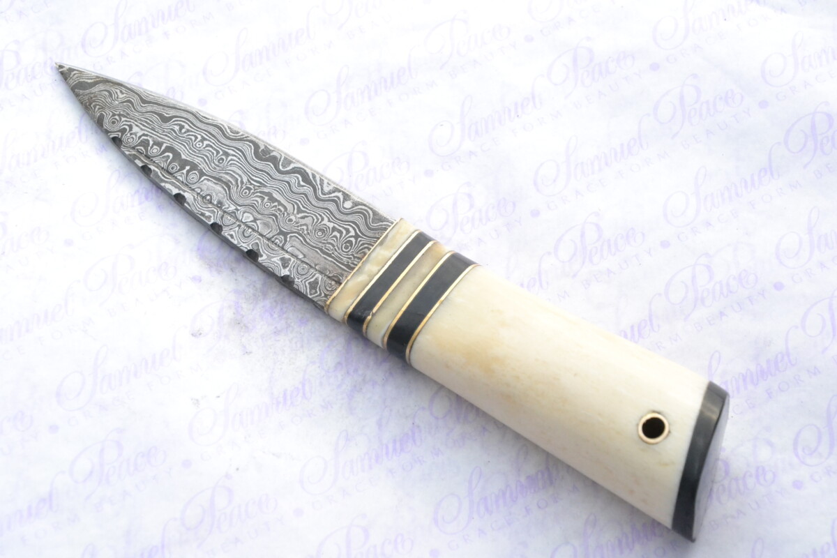 New Fantastic Genuine Camel Bone and Buffalo Handle Sgian Dubh Damascus Steel Made in Sheffield England Superior Sheath inc Presentation box - Image 5