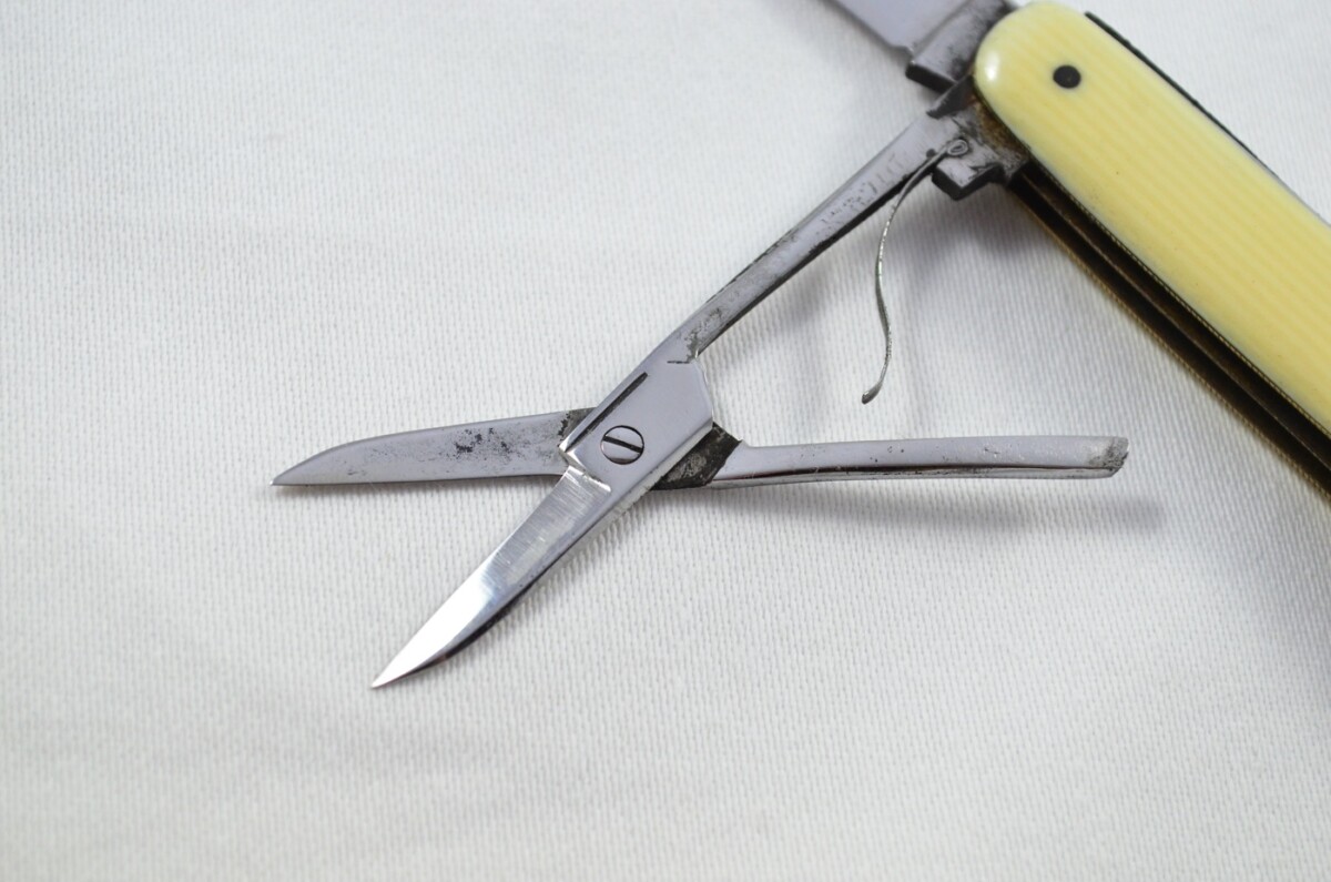 4 Bladed Carbon Steel Plastic Scaled Pen/Fruit Knife Sheffield C.1880 - Image 3