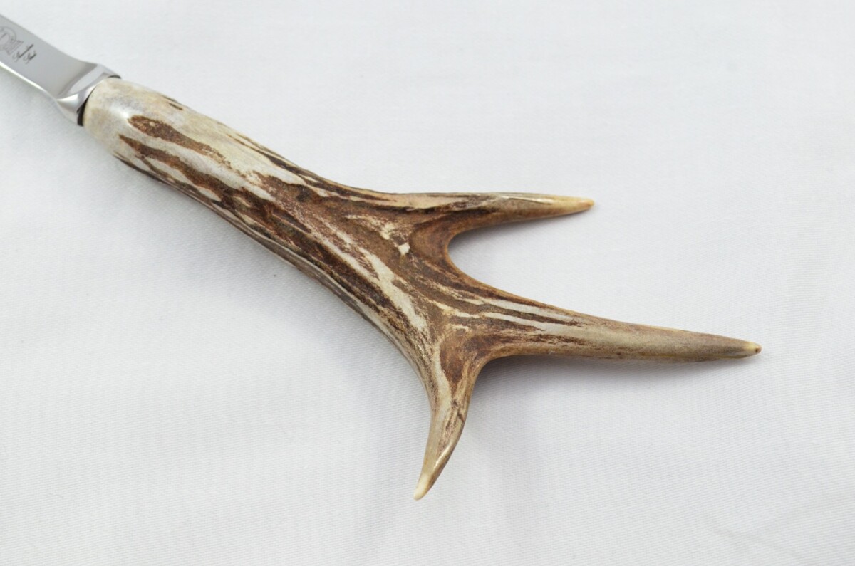 Genuine Roe Deer Stag Horn Antler Handled Gents Letter Opener Made in Sheffield England - Image 2