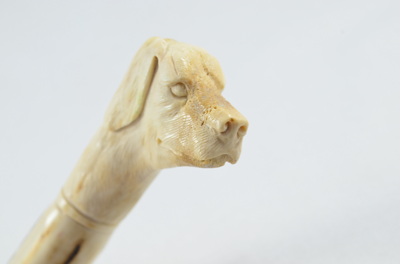 Dog Carved Walking Stick Cane Top Handle Stag Antler Horn Made Sheffield England