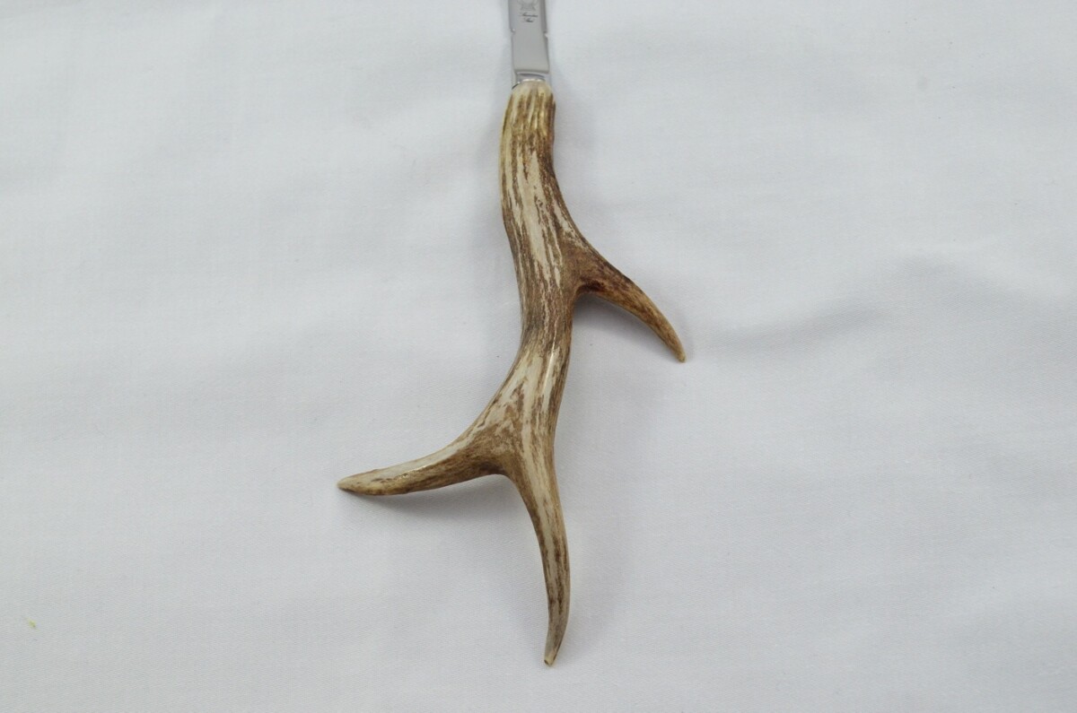 Genuine Roe Deer Stag Horn Antler Handled Ladies Letter Opener Made in Sheffield England - Image 5