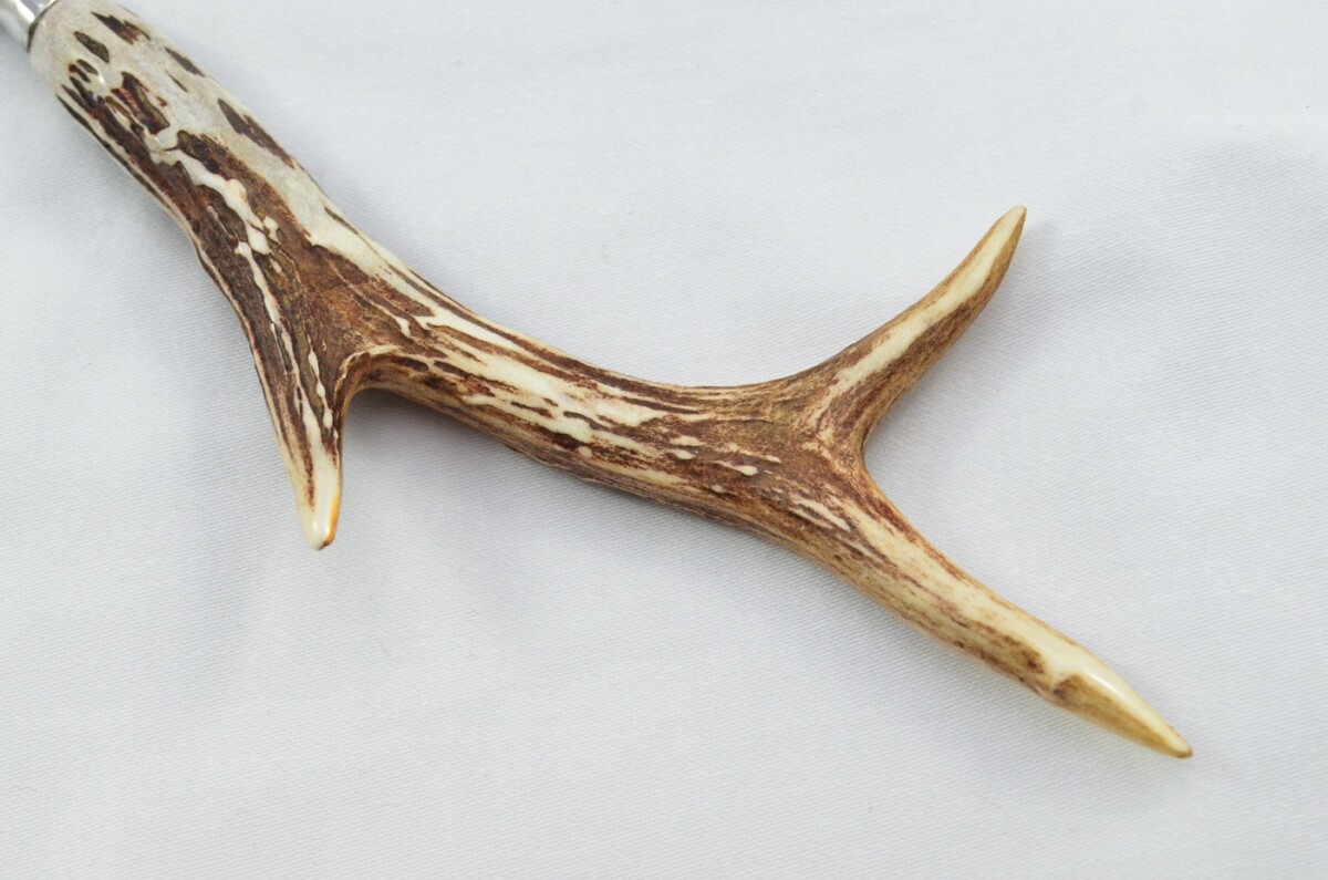 Genuine Roe Deer Stag Horn Antler Handled Bottle Opener Made in Sheffield England - Image 2
